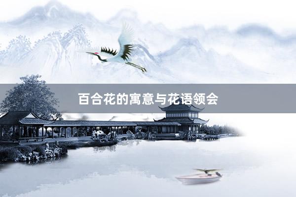 百合花的寓意与花语领会