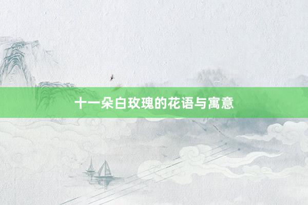 十一朵白玫瑰的花语与寓意